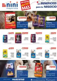 Catálogo Nini Mayorista semana 21 Página 45