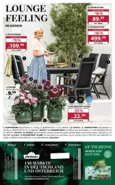 Dehner Flugblatt Seite 16