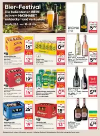 Maximarkt Flugblatt woche 21 Seite 13