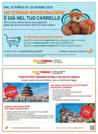 Volantino Conad Margherita Pagina 13