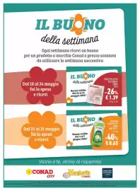 Volantino Conad Margherita Pagina 19