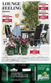 Dehner Flugblatt Seite 16