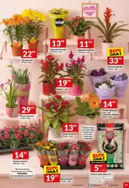 Twój Market gazetka tydzień 21 Strona 19