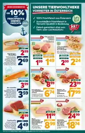 Billa Flugblatt woche 21 Seite 8