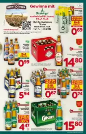 Billa Corso Flugblatt woche 21 Seite 13