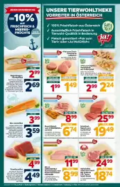 Billa Corso Flugblatt woche 21 Seite 8