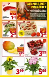 Billa Corso Flugblatt woche 21 Seite 5