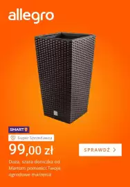 Allegro gazetka tydzień 21 Strona 3