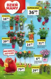 Auchan gazetka tydzień 21 Strona 8