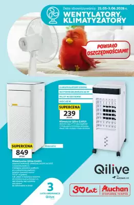 Auchan gazetka (ważność do 3-06)