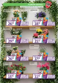 Catalog Auchan Pagină 37