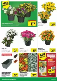 Leitermann Baumarkt Prospekt woche 21 Seite 2