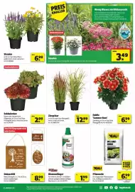 Leitermann Baumarkt Prospekt woche 21 Seite 3