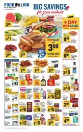 Food Lion weekly ad week 21 Page 1