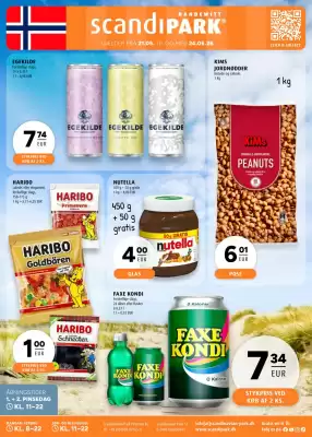 Scandinavian Park katalog