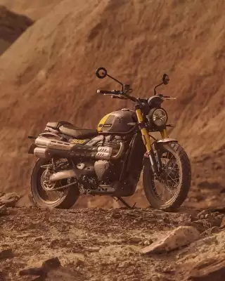 Triumph (válido até 1-06)