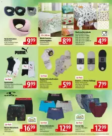 Famila Nord Ost Prospekt Seite 26