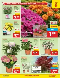 Netto Marken-Discount Prospekt Seite 9