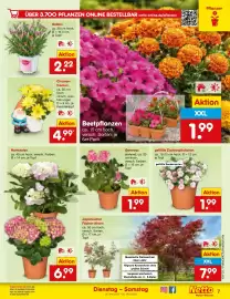 Netto Marken-Discount Prospekt Seite 9