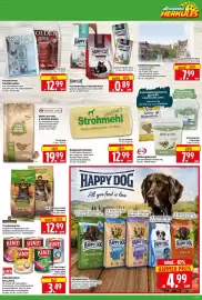 Herkules Baumarkt Prospekt woche 21 Seite 15