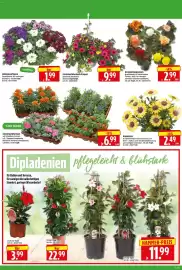 Herkules Baumarkt Prospekt woche 21 Seite 2