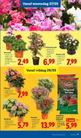 Lidl folder Pagina 17