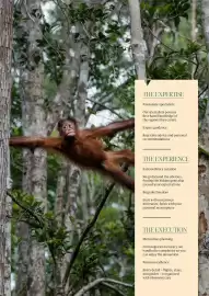 Flight Centre brochure Page 5
