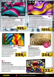 Cosmos Flugblatt Seite 8