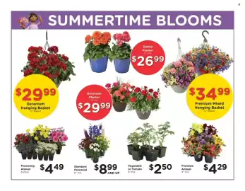 Fred Meyer weekly ad week 21 Page 12