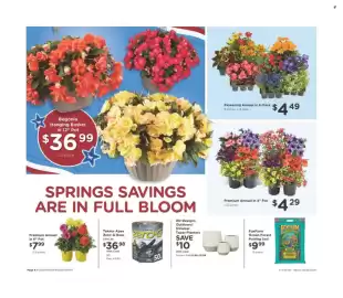 Fred Meyer weekly ad week 21 Page 5