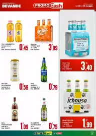 Volantino Centro Cash Pagina 13