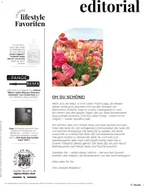 Müller Flugblatt Seite 3