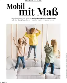 Müller Flugblatt Seite 80