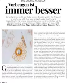 Müller Flugblatt Seite 82