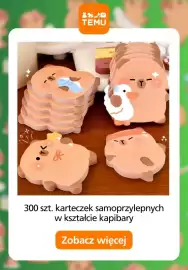 Temu gazetka Strona 11