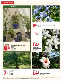 Catalogue Auchan Direct page 6