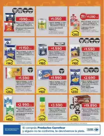 Catálogo Carrefour Página 13