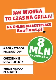 Kaufland gazetka Strona 14