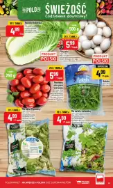 Polomarket gazetka tydzień 21 Strona 15