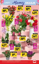 Polomarket gazetka tydzień 21 Strona 7