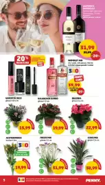 Catalog Penny săptămâna 21 Pagină 5