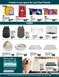 Bunnings catalogue Page 13