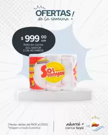 Catálogo El Milagro Mayorista semana 21 Página 15