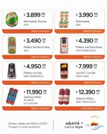 Catálogo El Milagro Mayorista semana 21 Página 6