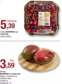 Folleto BonpreuEsclat Página 65