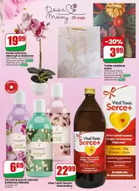 Dino gazetka tydzień 21 Strona 17