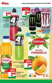 Dino gazetka tydzień 21 Strona 5
