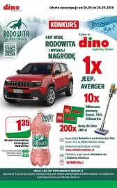 Dino gazetka tydzień 21 Strona 7