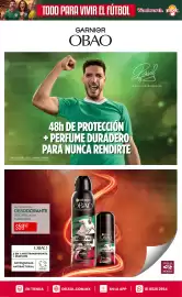 Folleto DelSol Página 18