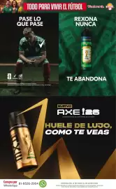 Folleto DelSol Página 19